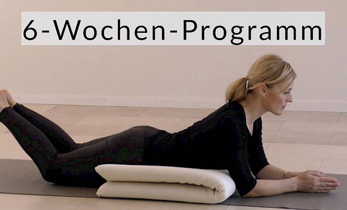 Einführung in die CANTIENICA®Methode Willkommen bei CANTIENICA